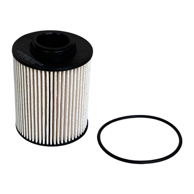0.07kg Foton Aumark Filtro de combustible P111000000245 para el estado de la piel marciana original