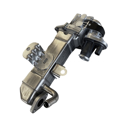 Foton Aumark AUCAN 2.5 con motor integrado y ensamblaje de EGR PSH0006965